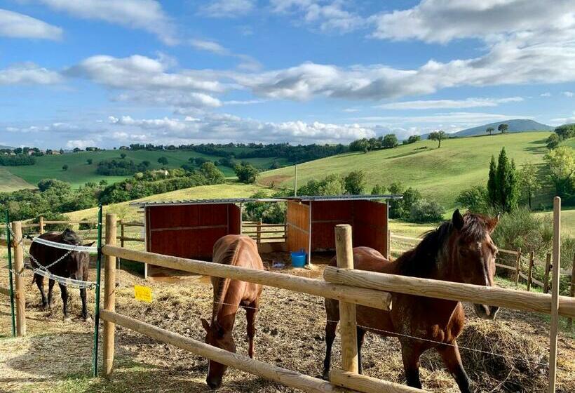 ベッドアンドブレックファースト Horti Del Baio