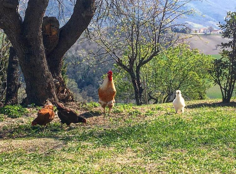 ベッドアンドブレックファースト Horti Del Baio