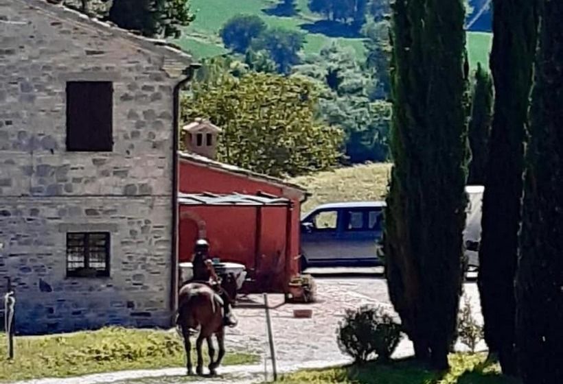 ベッドアンドブレックファースト Horti Del Baio