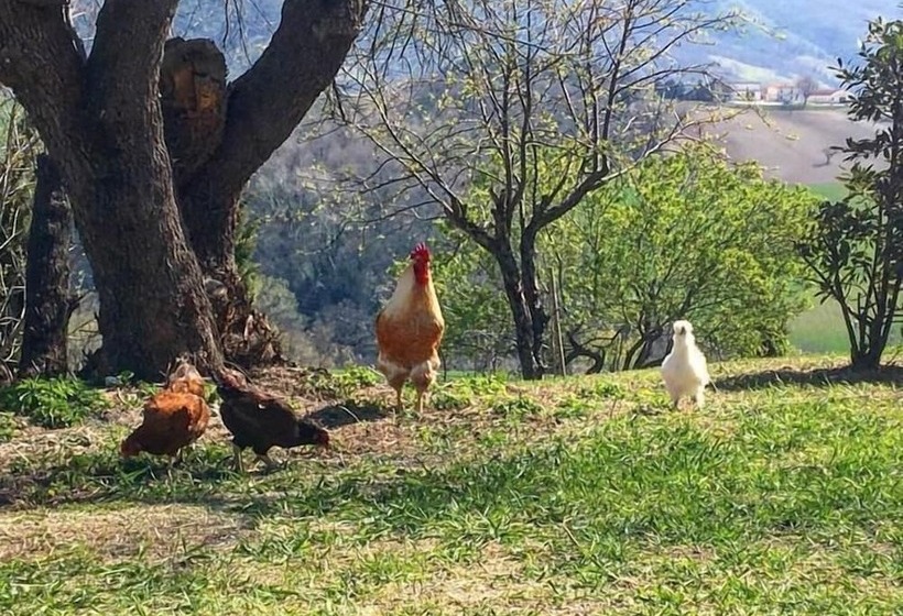 ベッドアンドブレックファースト Horti Del Baio