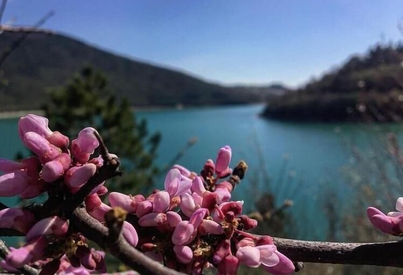 ベッドアンドブレックファースト Horti Del Baio