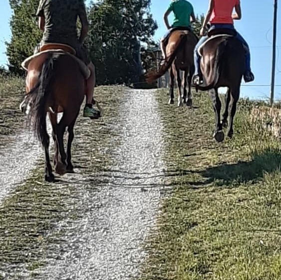 ベッドアンドブレックファースト Horti Del Baio