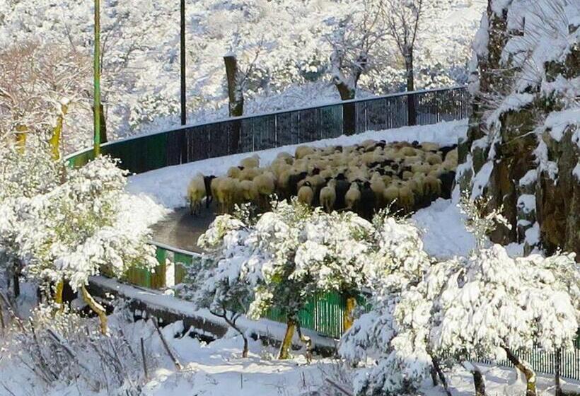 住宿加早餐  Porta Baciamano