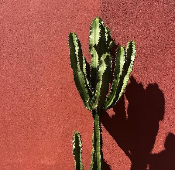 Bed and Breakfast Senia_rooms_vista