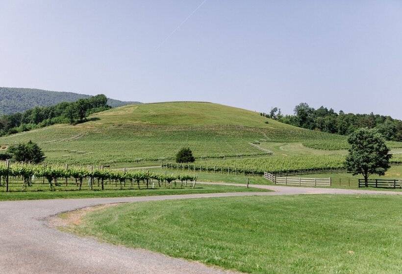 ベッドアンドブレックファースト The Farmhouse At Veritas