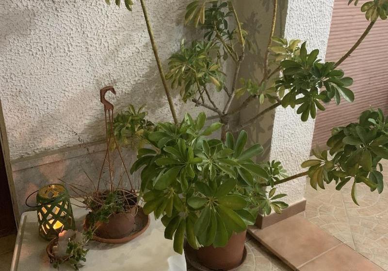 住宿加早餐  Valentina Lovely Rooms