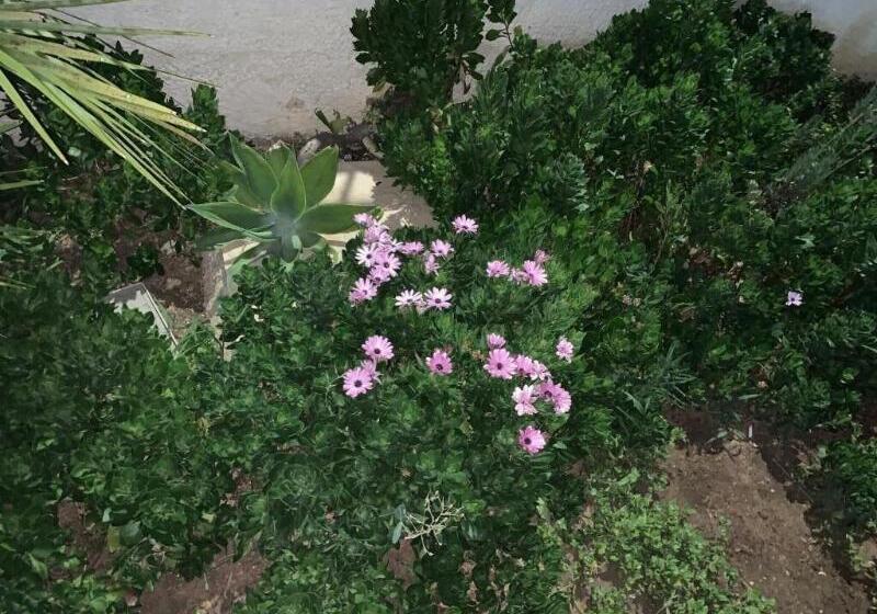 住宿加早餐  Valentina Lovely Rooms