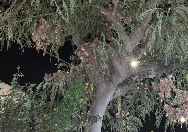 住宿加早餐  Valentina Lovely Rooms