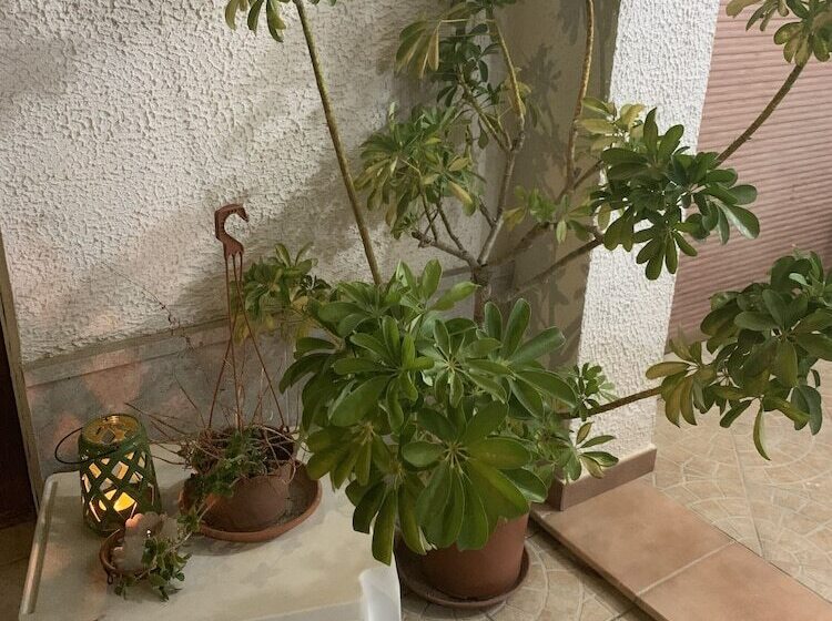 住宿加早餐  Valentina Lovely Rooms