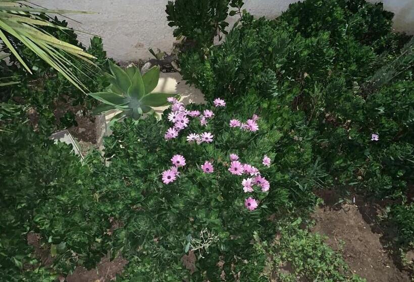 住宿加早餐  Valentina Lovely Rooms