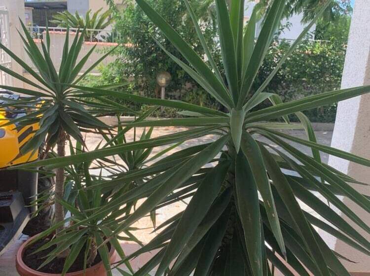 住宿加早餐  Valentina Lovely Rooms