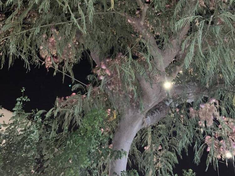 住宿加早餐  Valentina Lovely Rooms