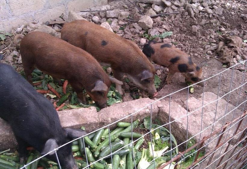 צימר Vento Del Sud