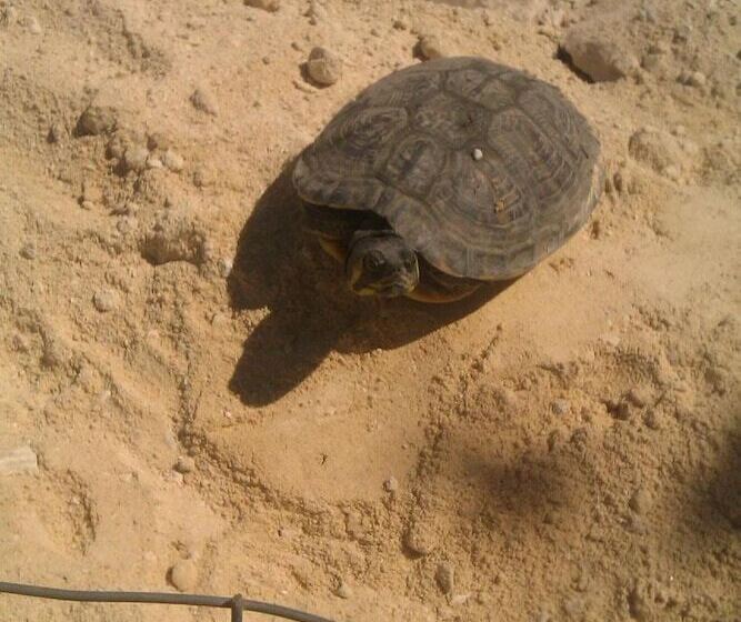 צימר Vento Del Sud