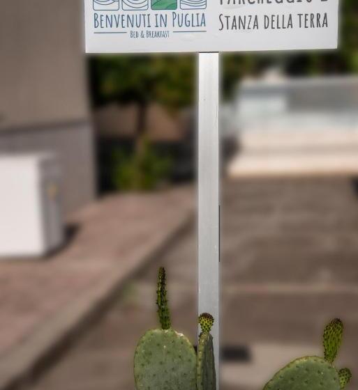 Benvenuti In Puglia B&b