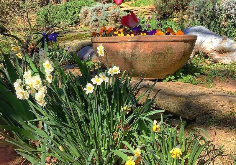 Centro Trekking A Cavallo Monte Brugiana