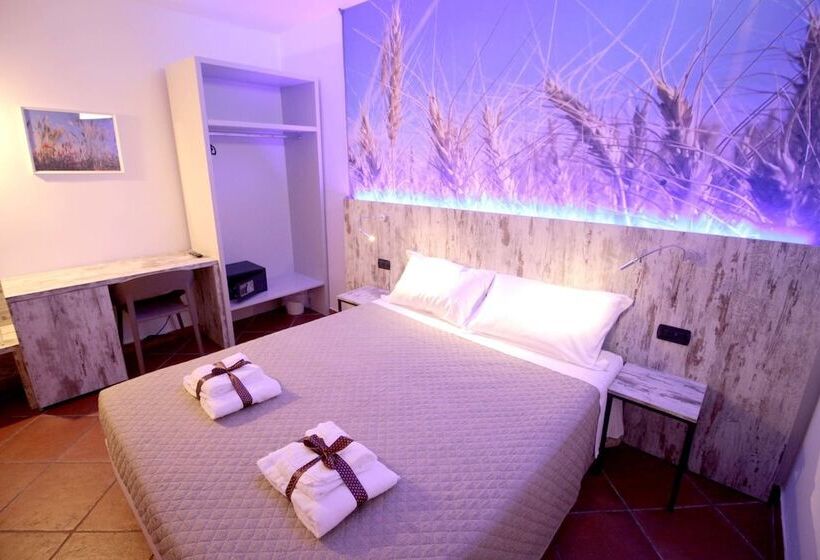 בית מלון כפרי 7 Camere