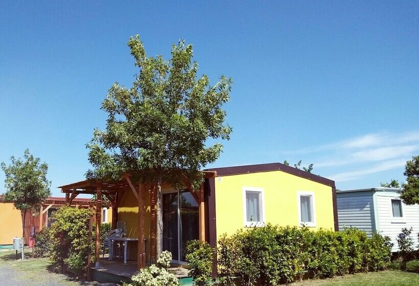 酒店 Campeggio Bocca Di Cecina