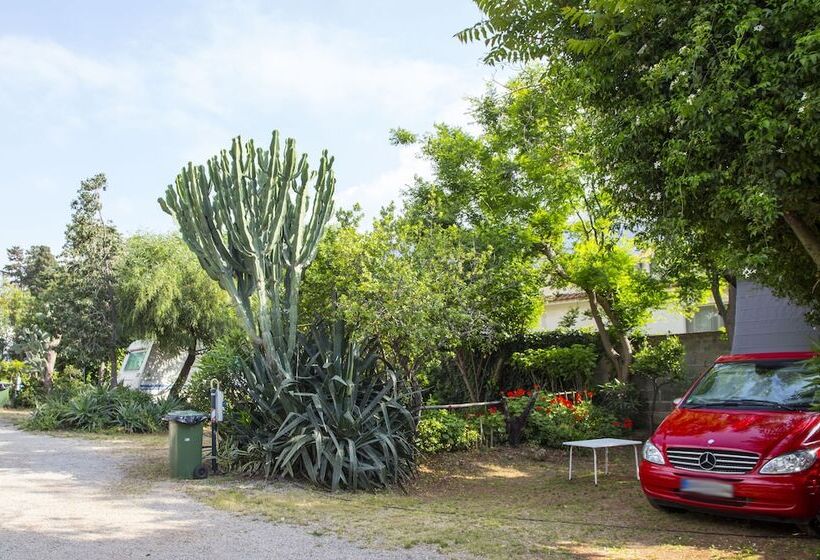 酒店 Camping Degli Ulivi