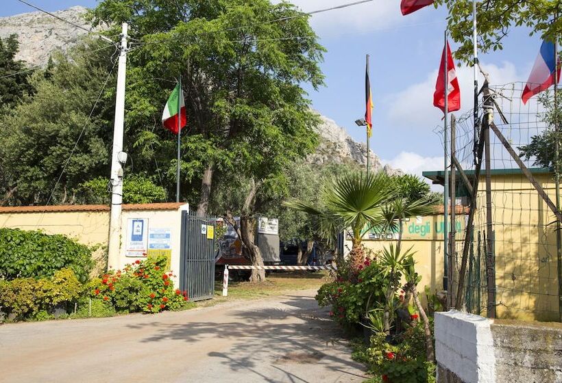 酒店 Camping Degli Ulivi