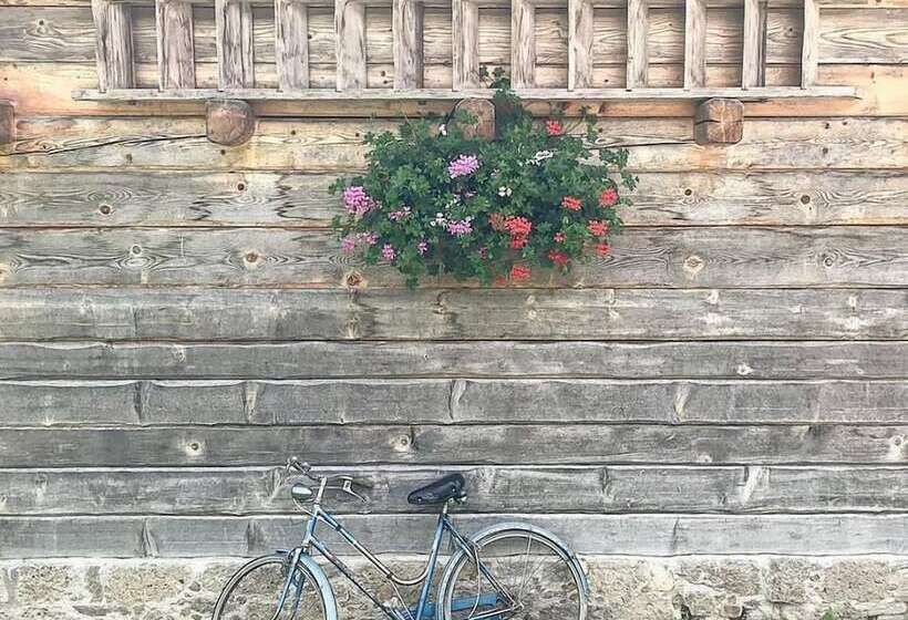 فندق Garni Plueme