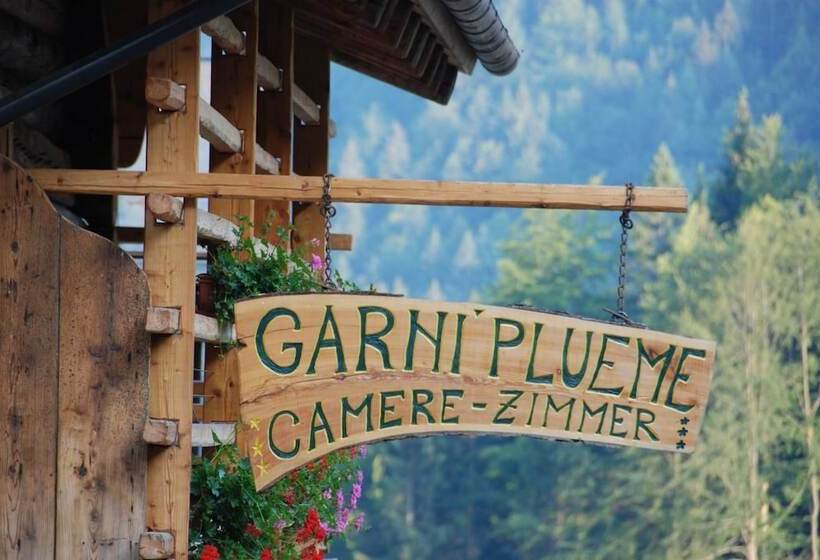 فندق Garni Plueme