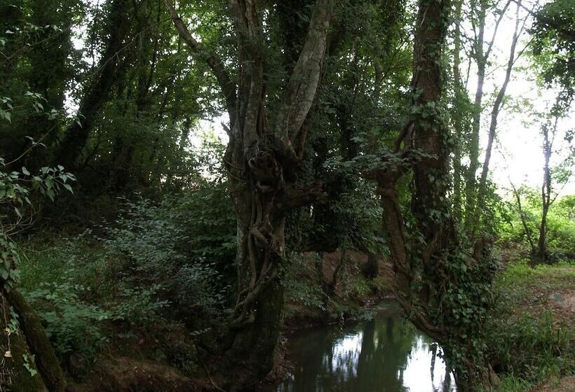 هتل روستایی Agriturismo Cavallin Del Bufalo