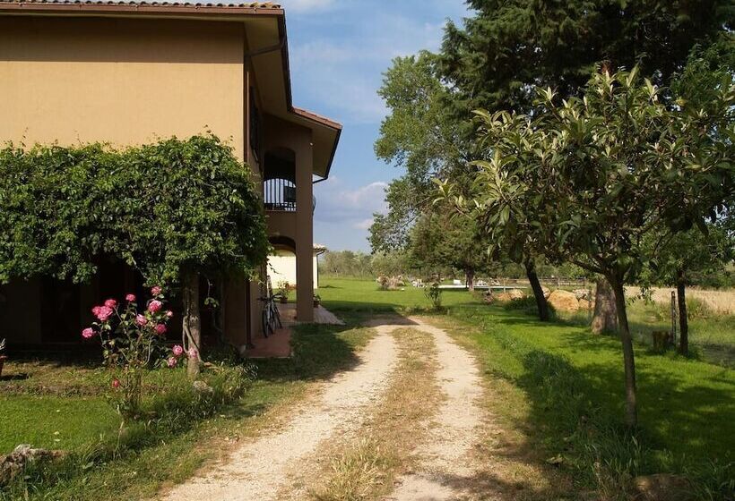 هتل روستایی Agriturismo Cavallin Del Bufalo