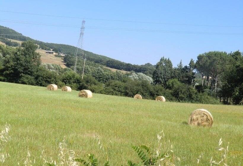 هتل روستایی Agriturismo Cavallin Del Bufalo