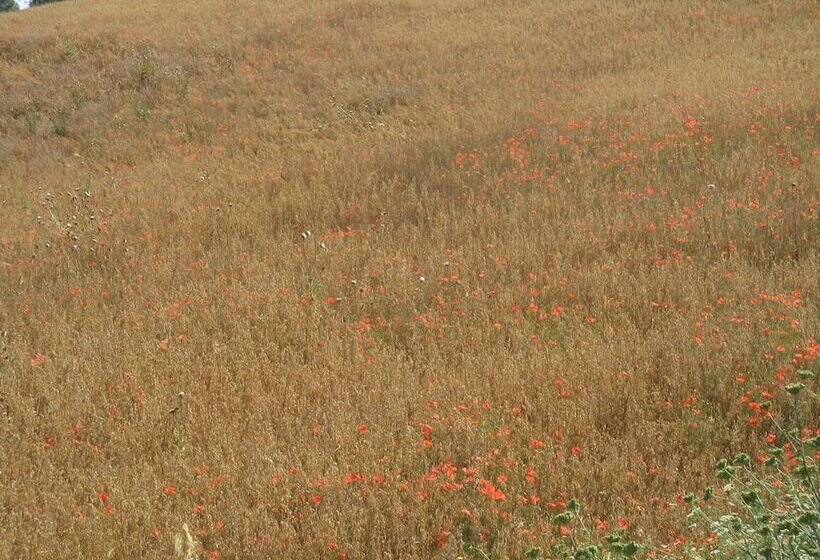 هتل روستایی Agriturismo Cavallin Del Bufalo