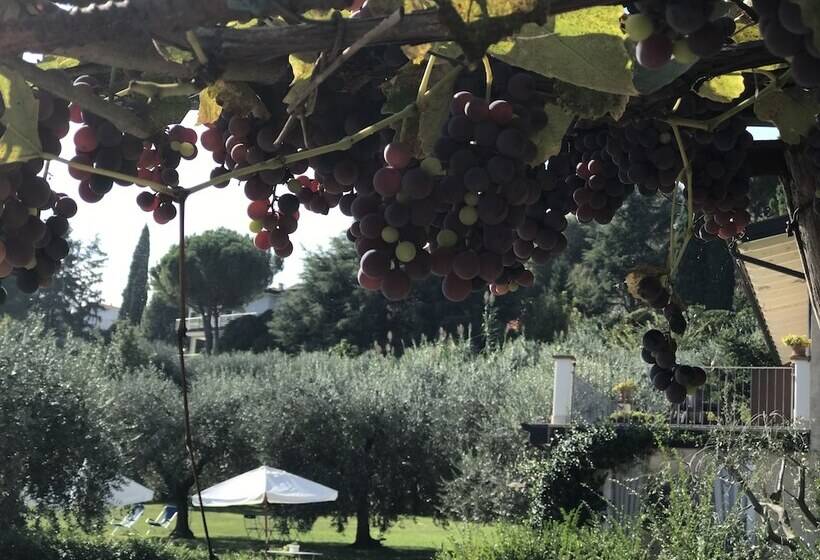 בית מלון כפרי Agriturismo Il Cardo
