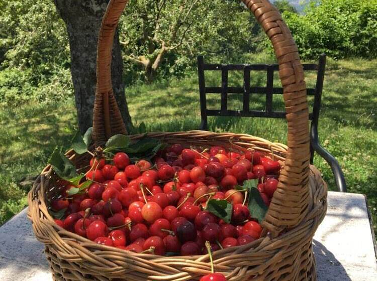 乡村酒店  Agriturismo La Casina Della Burraia