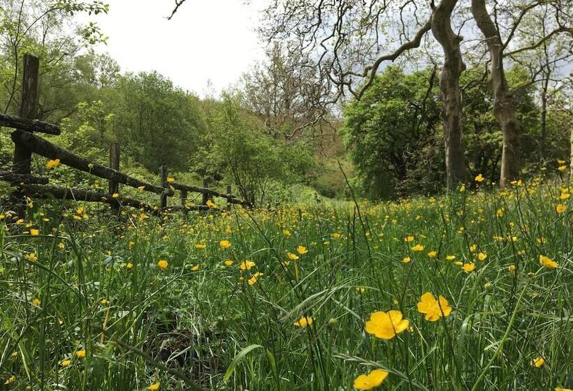 乡村酒店  Agriturismo La Casina Della Burraia