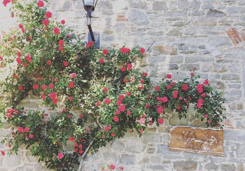 乡村酒店  Agriturismo La Casina Della Burraia