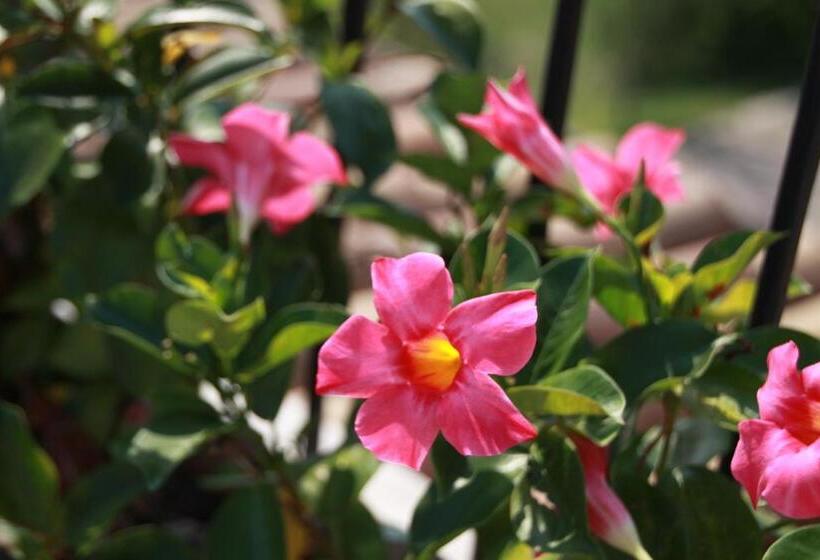 교외 호텔 Agriturismo Nonna Bettina