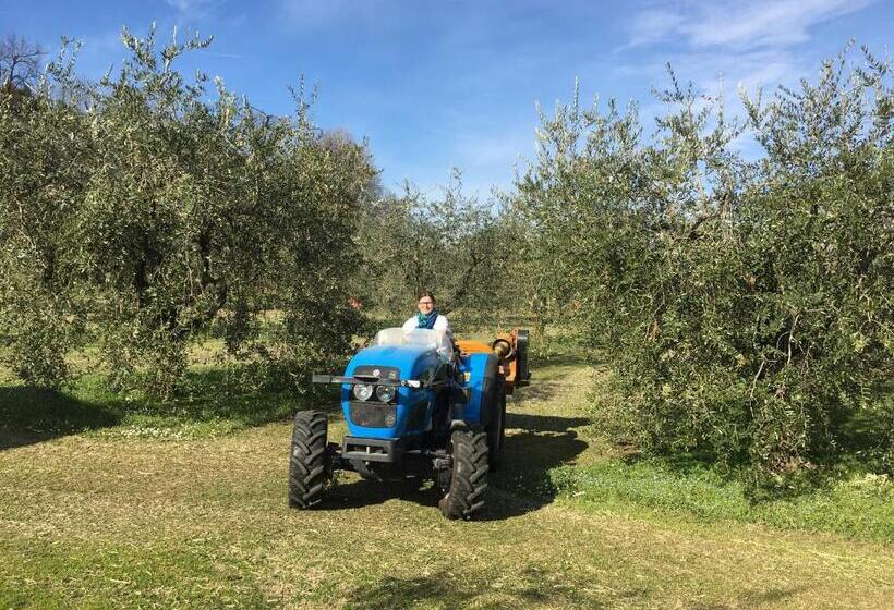 교외 호텔 Agriturismo Nonna Bettina