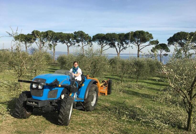 교외 호텔 Agriturismo Nonna Bettina