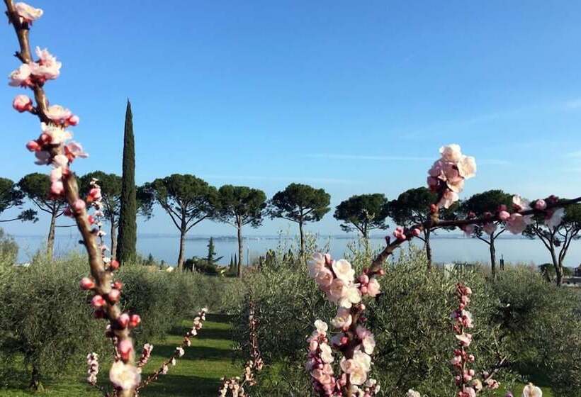 교외 호텔 Agriturismo Nonna Bettina