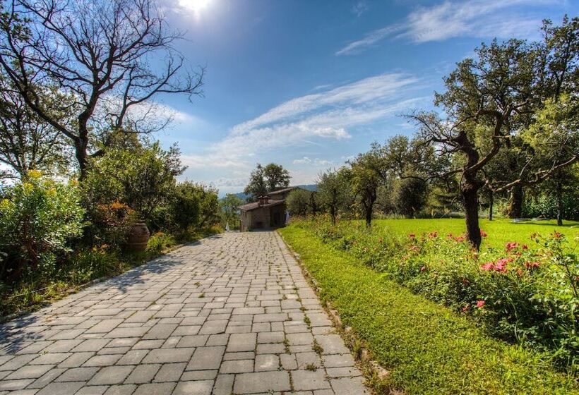 乡村酒店  Fattorie Di Celli