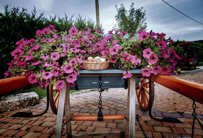 فندق ريفى Il Vecchio Pollaio