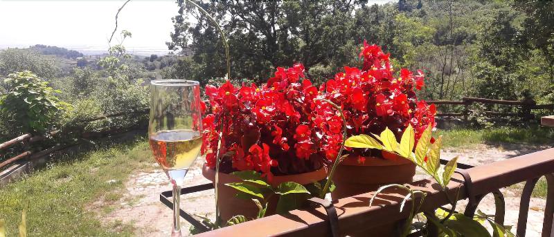 Agriturismo La Magione Del Capitano