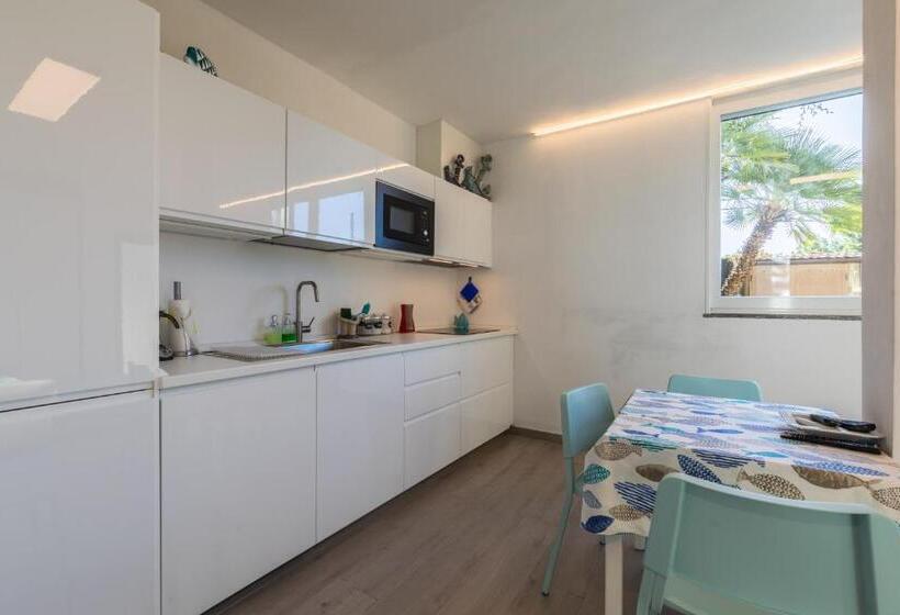 La Sterlizia Di Santa Croce