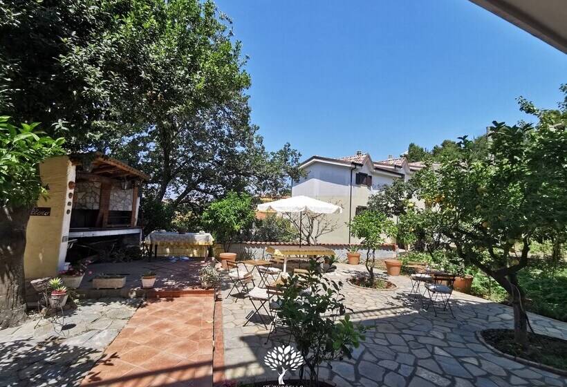 La Suscella Bed & Breakfast