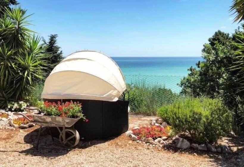 Le Due Palme Bed & Breakfast