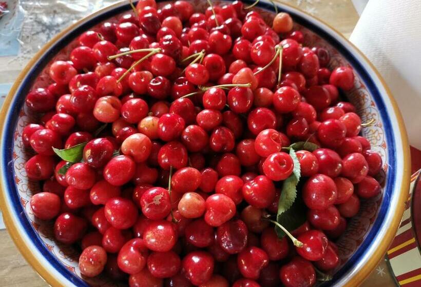 Masseria Le Querciole