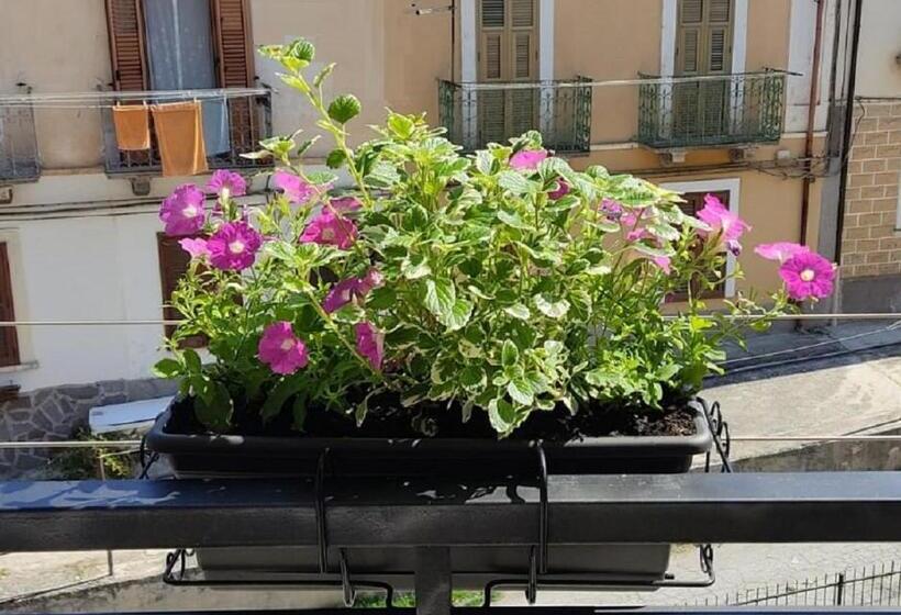 펜션 B&b Residence Armonia Sulmona