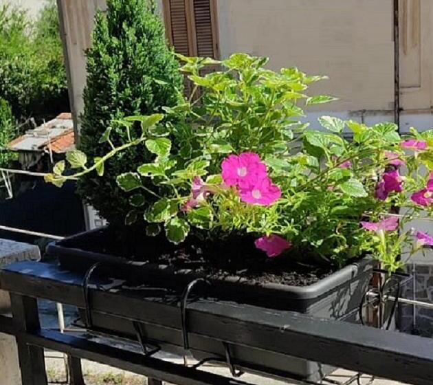 펜션 B&b Residence Armonia Sulmona