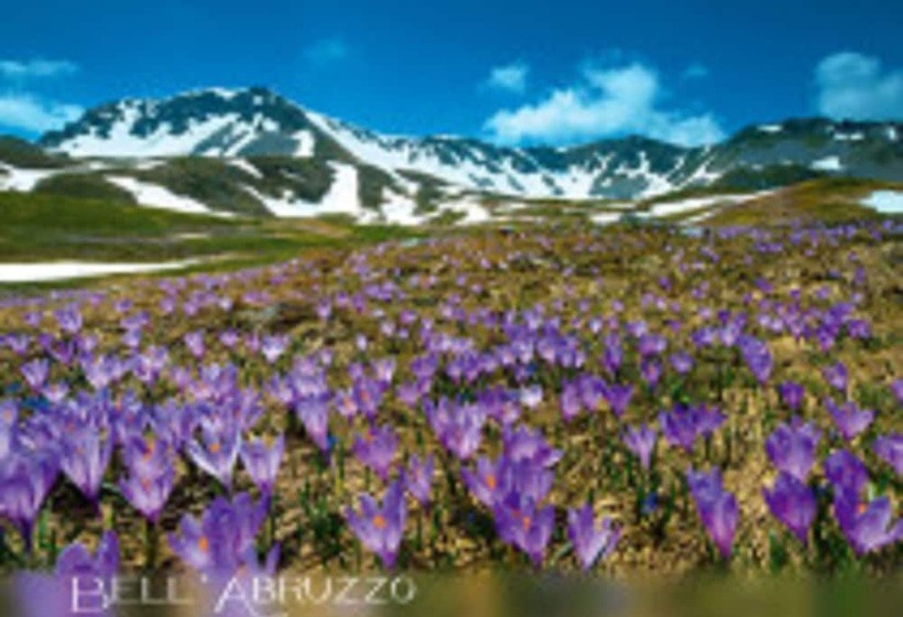 펜션 B&b Residence Armonia Sulmona