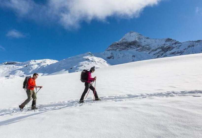 بنسيون Casa Bavo