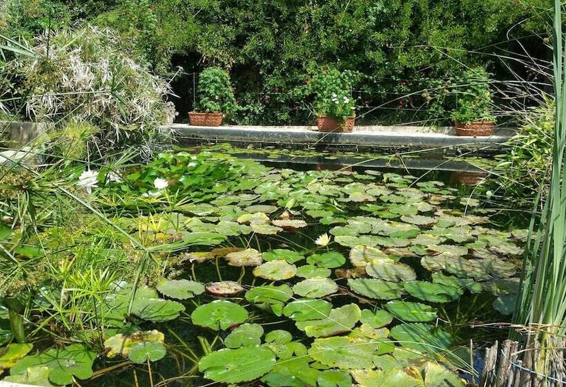 بنسيون Le Stanze Di Villa Labruto